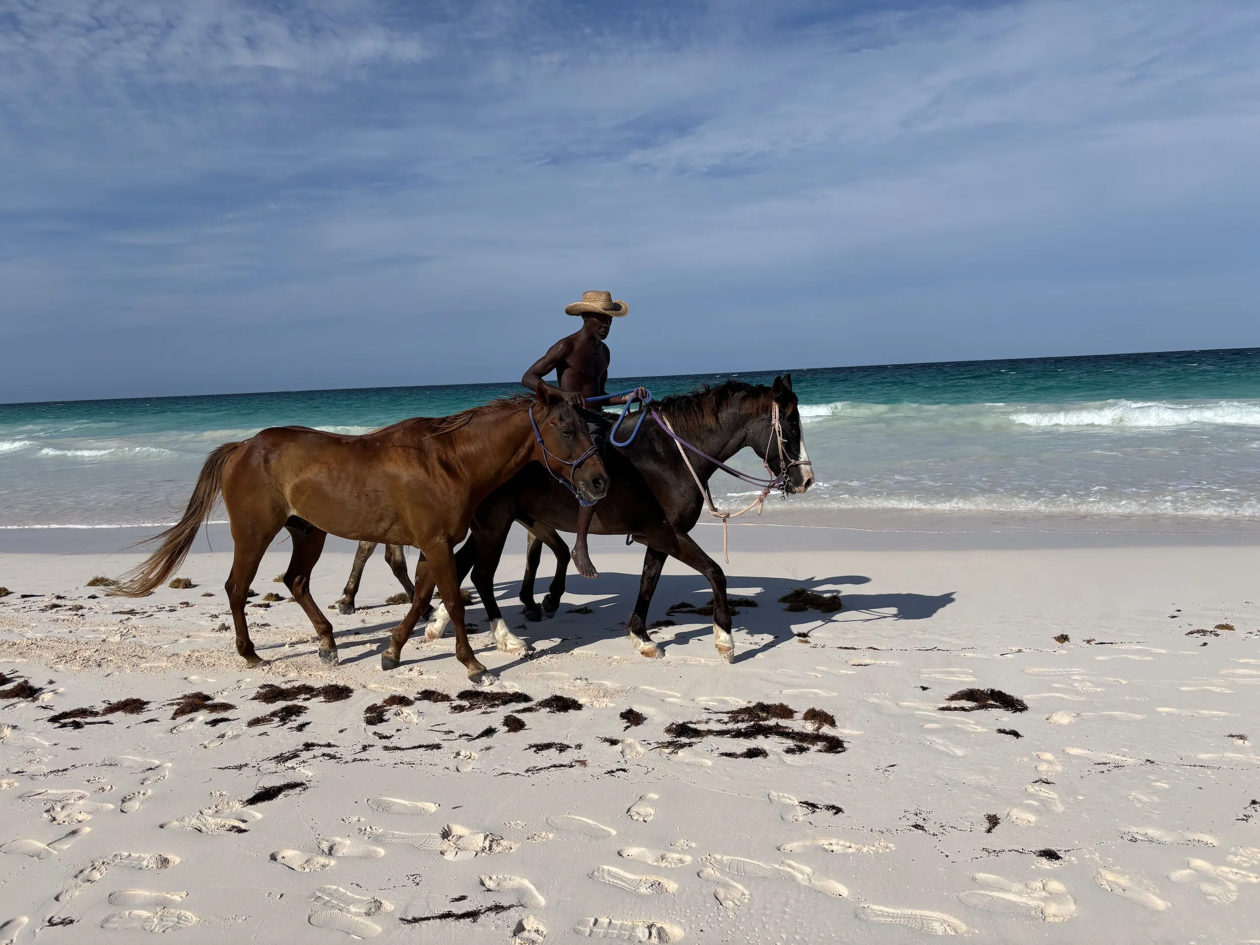 Harbour Island Fantasy