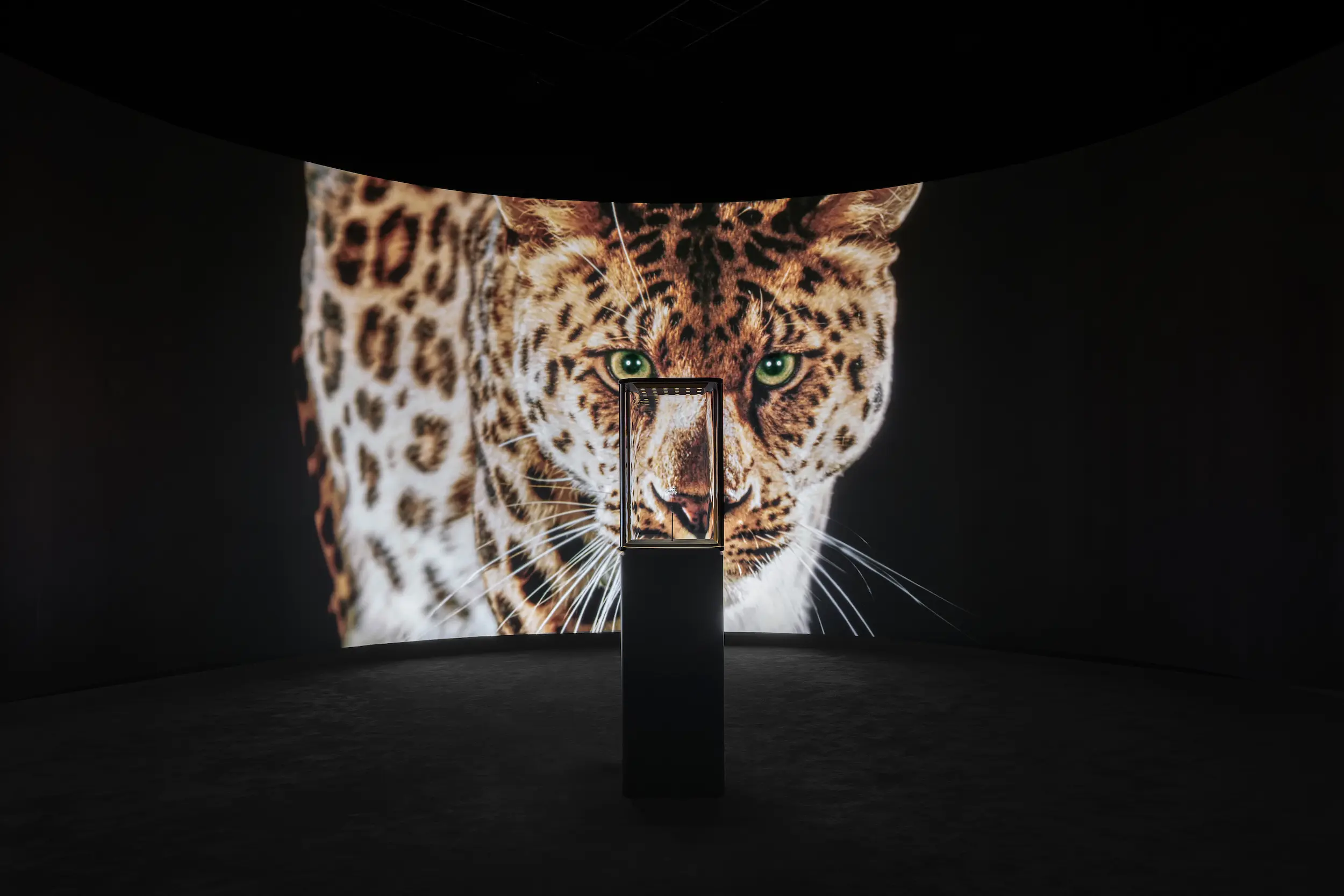 Miami Art Week After Hours