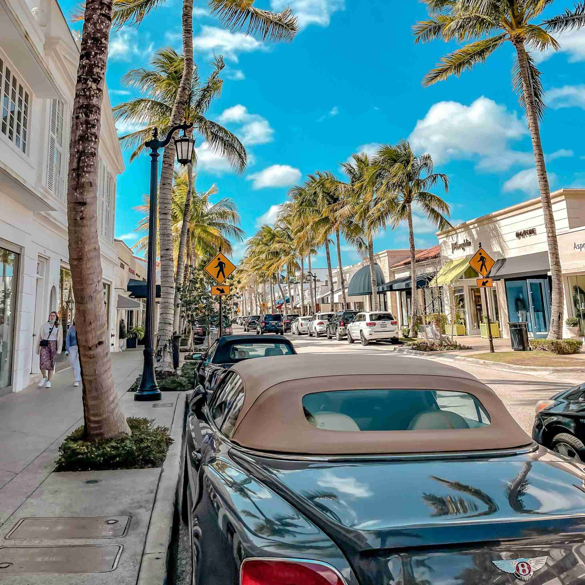 Palm Beach Reality Show