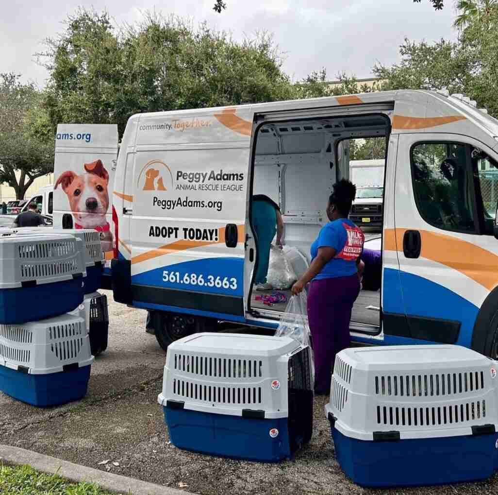 Van florida animal rescue