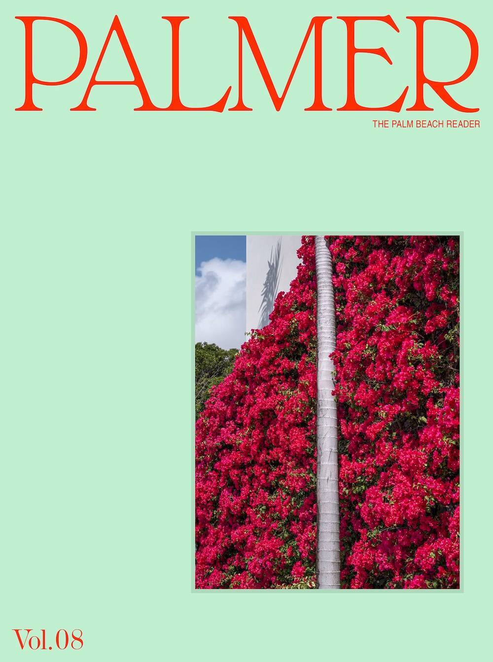 Palmer Vol. 8